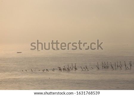 Outdoor panoramic view of the sandy beach located in Cotonou city, Benin, West Africa. Atlantic ocean with waves early in the morning. Blue pink sky in background. Seascape natural picture.