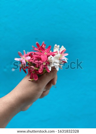 Taking photo of hand carrying colorful flowers with blue wall background and sharing image to social media.