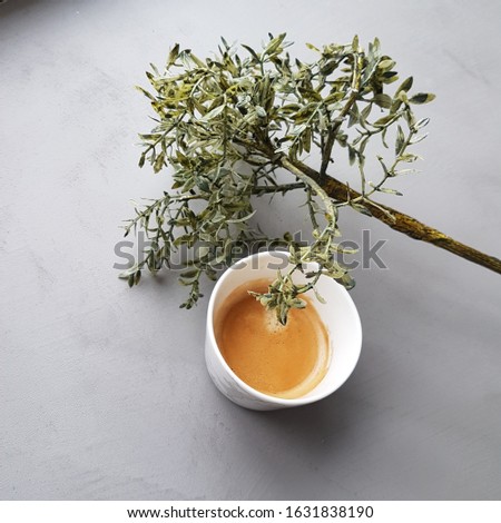 One white coffee cup on grey background together with a green twig
