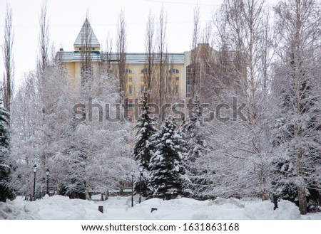Sterlitamak city in the winter. Trees covered in snow