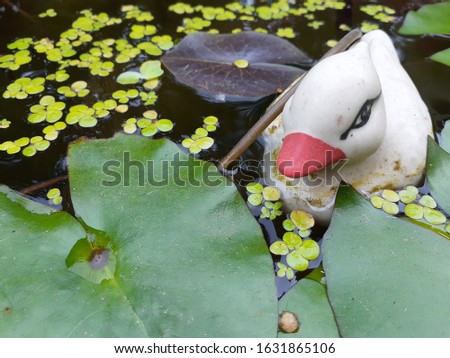 Duck doll in a bath with lotus leaves