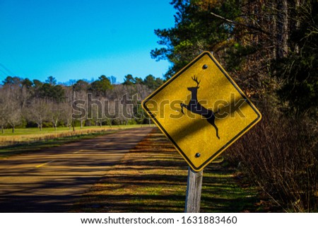 Deer crossing sign with a view down the street