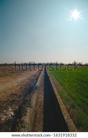 Picture of an irrigation canal dividing two fields