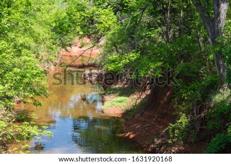 reflection of the forest on the surface of the river in the park
