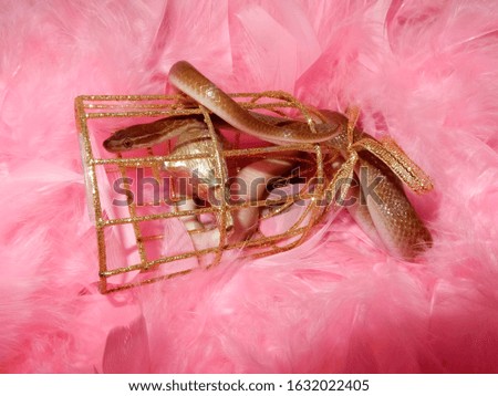 Glamorous Snake in Pink Feathers