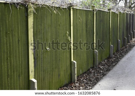 Perspective view of light green painted rough wooden sturdy fence 