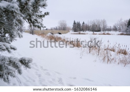 Winter morning parkview in Winterpeg