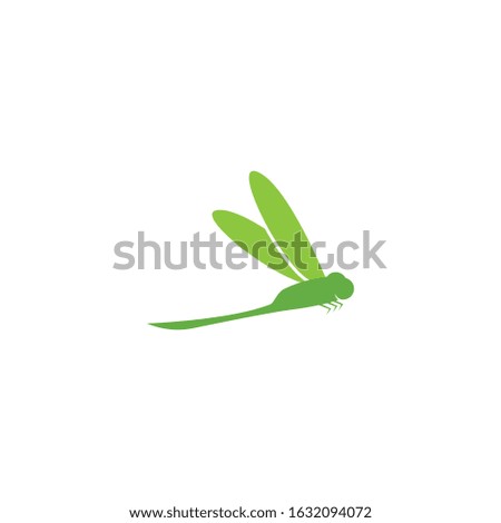 Dragonfly illustration  logo vector template