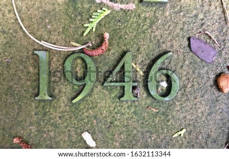 "1946" cast in metal and affixed to a stone – a detail of an inscription produced that year. Covered with green lichen while bits of plants strewn over the stone combine to a very colourful picture