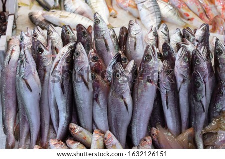 Fish assorment, mostly cod, at La Pescheria fish market in Catnia, Italy.