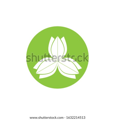 Flat Leaves Icons Vector Illustration