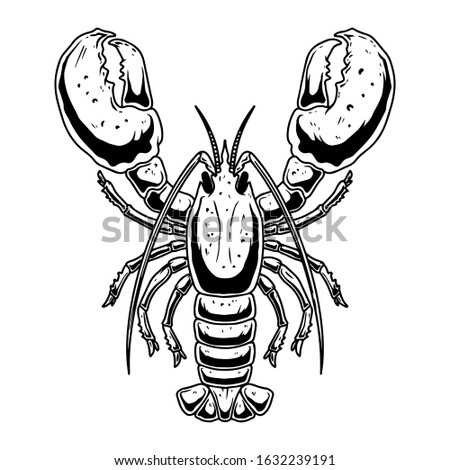 Illustration of lobster in engraving style on white background. Design element for logo, label, emblem, sign. 