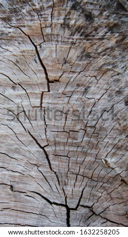 Wood For Background  Brown color