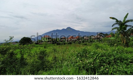 Salak mountain view from a field