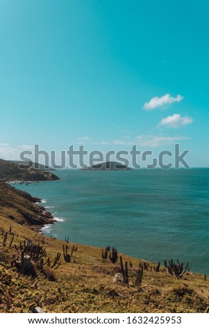 A vertical picture of the sea surrounded by hills covered in greenery under a blue sky and sunlight