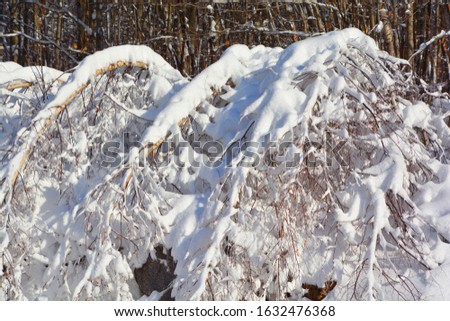 Winter landscape in Bromont mountain, Eastern township  Quebec, Canada