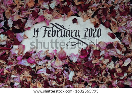 Calligraphic writing of Valentine's Day on February 14 among rose petals.