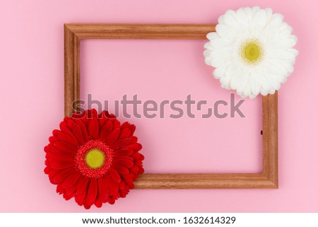 Wooden frame with red and white gerbera flowers on pastel pink background, copy space. Spring greeting card. Valentine's day, Wedding day, birthday, Women's day, Mother's day postcard concept.