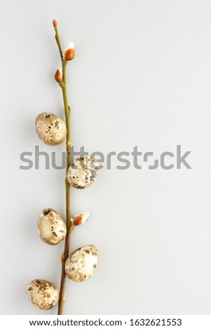 Top view easter composition. Golden eggs willow catkin creative flat lay background with copy space for your text.