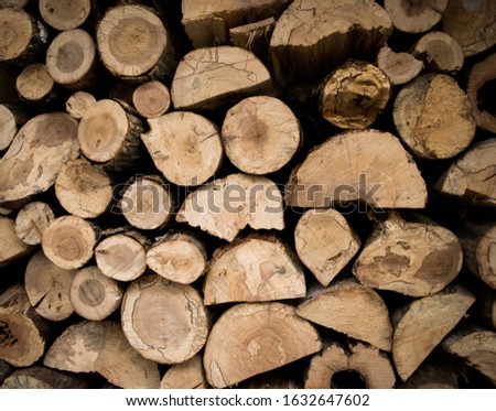 Wall of Firewood - Chopped Wood at the Cottage - Ontario Canada