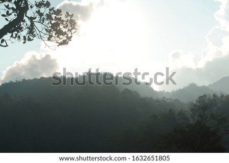Beautiful Sunlight and flare background concept at the rain forest. tropical background concept 
