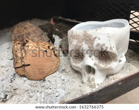 3d printed skull that looks like the real skull smoked and stained by ash