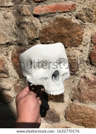 3D Printed white cute skull