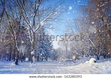 Beautiful winter landscape Royalty-Free Stock Photo #163280393