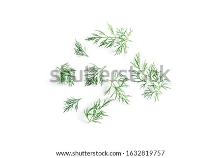 top view of fresh organic dill from the garden isolated on a white background 
 Royalty-Free Stock Photo #1632819757