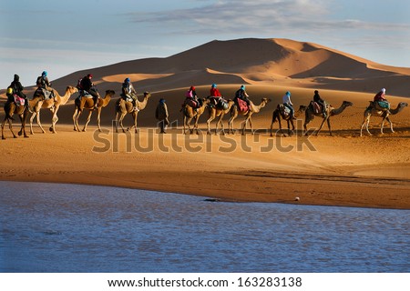 Caravan of tourists passing desert lake on camels during their lifetime adventure trip Royalty-Free Stock Photo #163283138