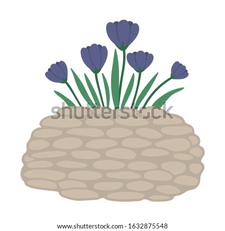Vector illustration of flower bed. Garden decorative stone flowerbed with crocus. Beautiful spring and summer herbs, plants and flowers
