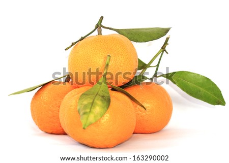 Group of orange with leaves on white background 