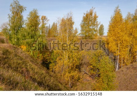 Autumn landscape photography, Colorful leaves on the trees of the autumn pore, the magic created by nature, the tree of life, beautiful places, the magical forest