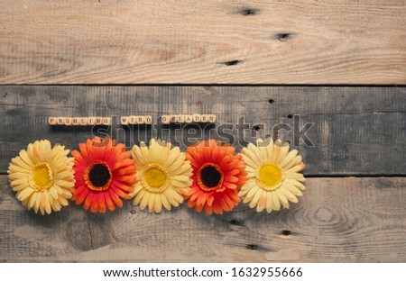 Beautiful gerbera flowers with the German words, spring is loading on a rustic wooden plank