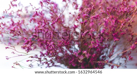 picture of the boutique purple dried flower in the vase for home decoration 