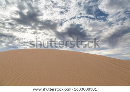 Looking out over the vast Algodones sand dunes in California