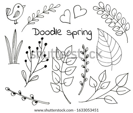 Hand painted spring illustration. Set of doodle floral elements and leafes. 
