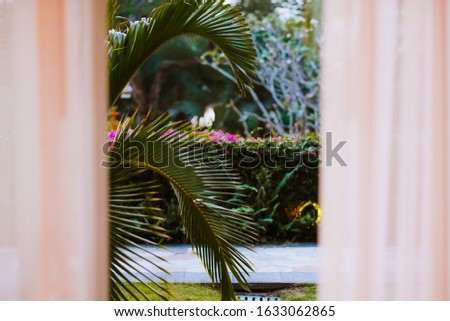 window from the luxury hotel in resort overlooking the tropical garden