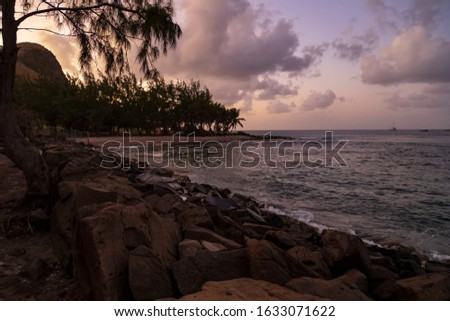 Calming, breathtaking coastal scenery - a sunset painting a mesmerizing picture with sea water splashing against weathered rocks, a cloudy sky's reflection on the water an overhanging tree branch.
