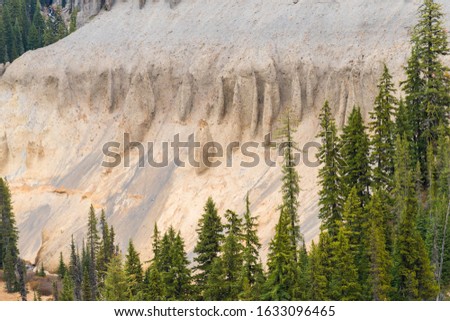 Canyon surrounded by a pine forest next to Annie Falls near Crater Lake, Oregon, USA