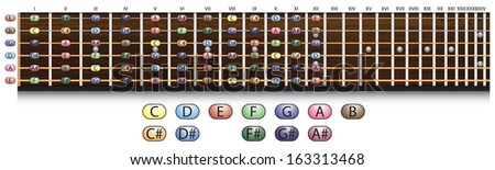 Schematic view of a guitar fretboard with each note.