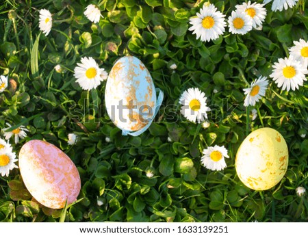 beautiful easter colored eggs on green grass with white daisies top view