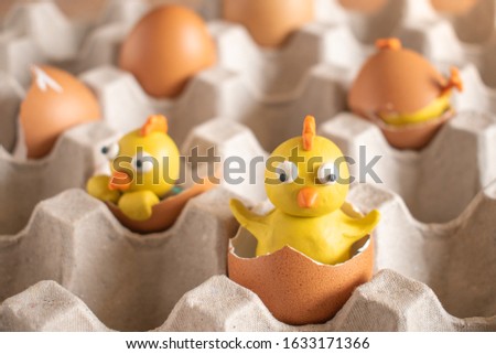 Chicks in the tray. Try eggs from plasticine. Chicken egg and plasticine chicken toys.