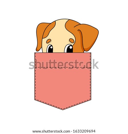Cute character in shirt pocket. Dog animal. Colorful vector illustration. Cartoon style. Isolated on white background. Design element. Template for your shirts, stickers.