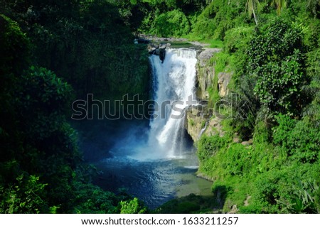Waterfall hidden in the tropical jungle. Bali, Indonesia