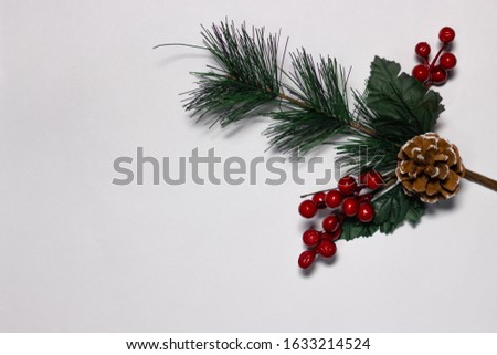 Coniferous green branch with a cone and red berries on a white background