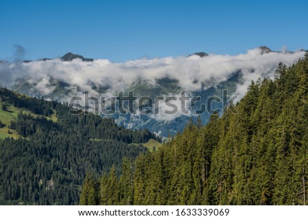 Beautiful swiss alps mountains. Forest 