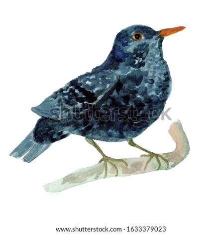 Watercolor handdrawn black bird rook isolated on white background. Illustration in cartoon style. Design for illustrations, helloween decor. 