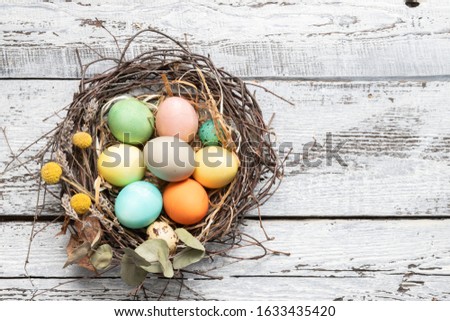 Decorative birds nest with dyed easter eggs. Rural banner with gray wooden copy space. Happy spring holiday celebration. Greeting design with colored symbol. Religion tradition and folkways honouring