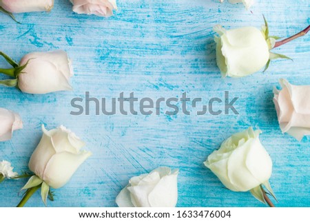 Set of white roses on aquamarine background